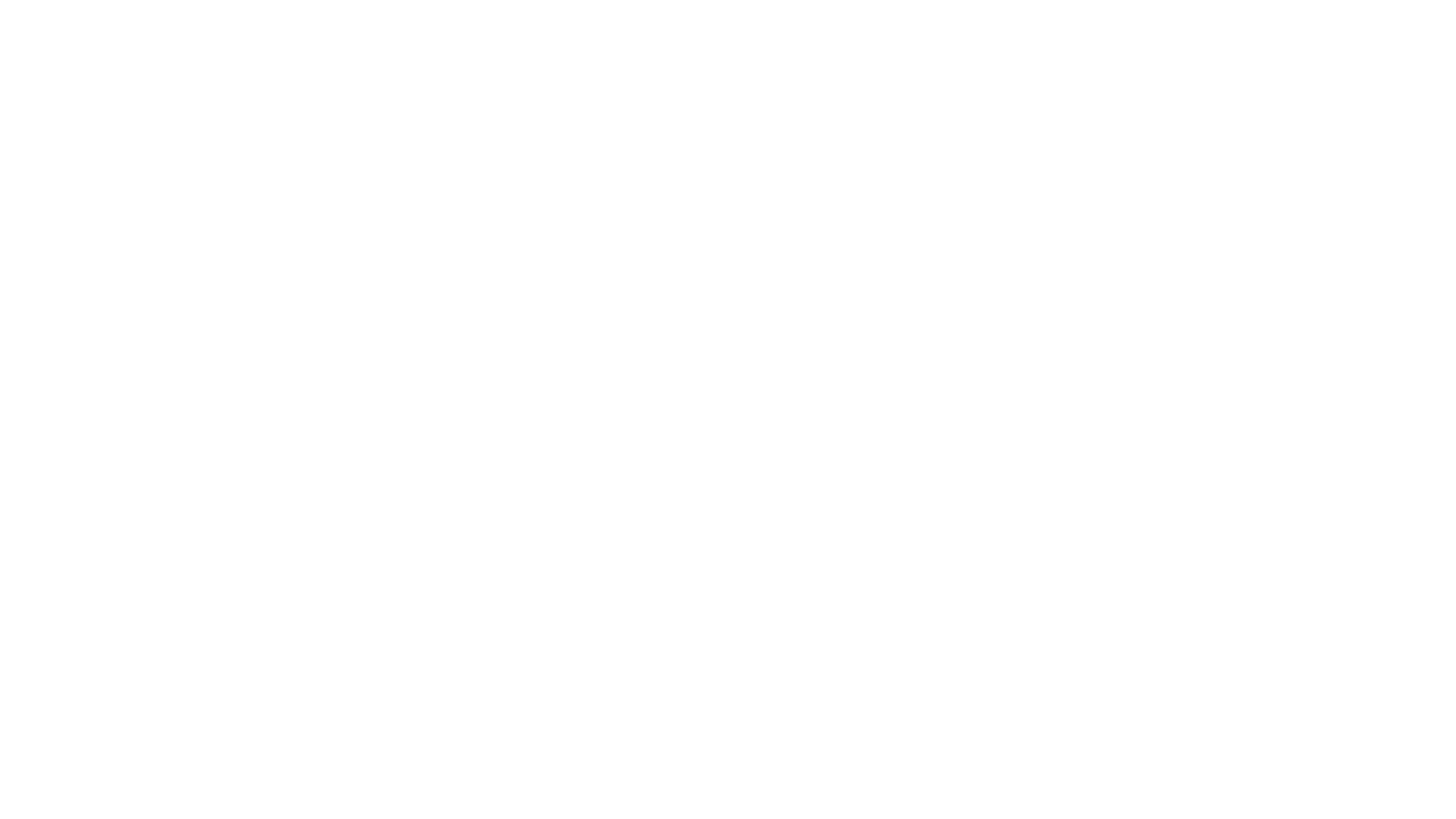 Josef Kokš